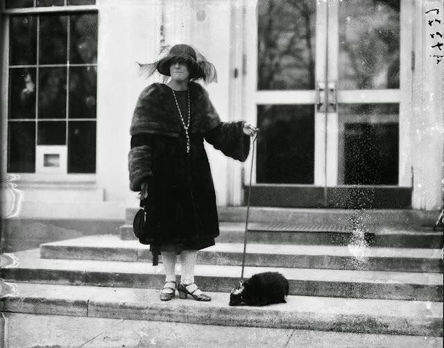 10. Женщина посещает Белый дом с домашним скунсом, 1922 год