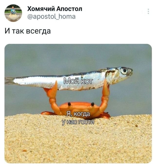 Скрины из соцсетей 