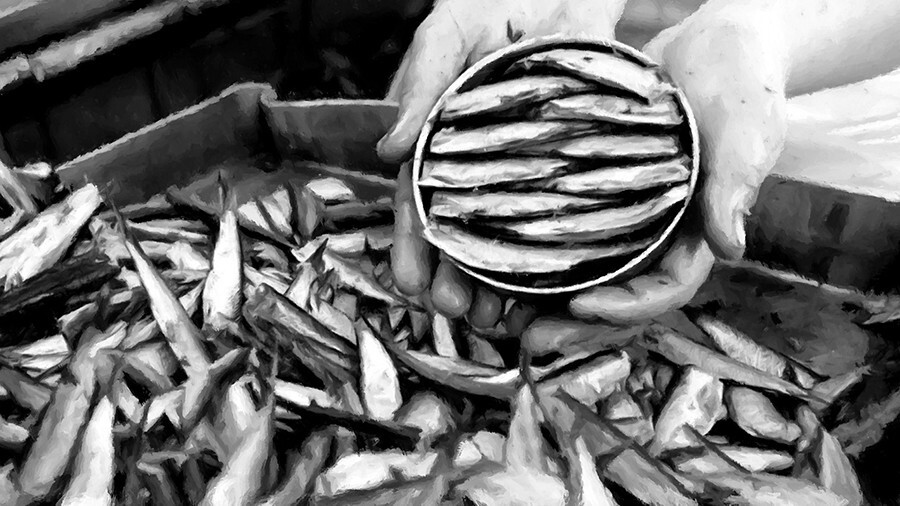 Как «мусорная» рыбка в СССР превратилась в настоящие деликатесные шпроты