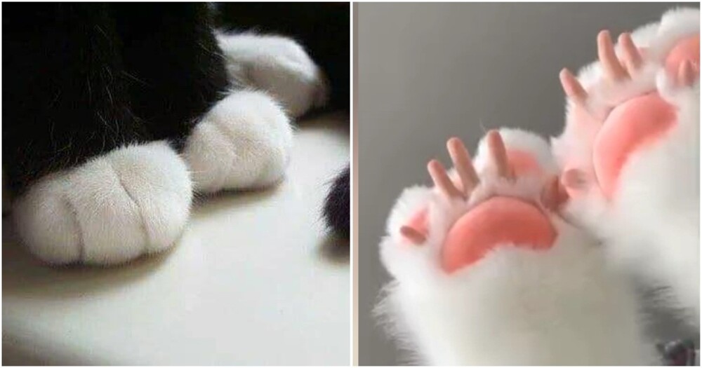 Работать не могу, у меня лапки: в Китае создали самые милые перчатки
