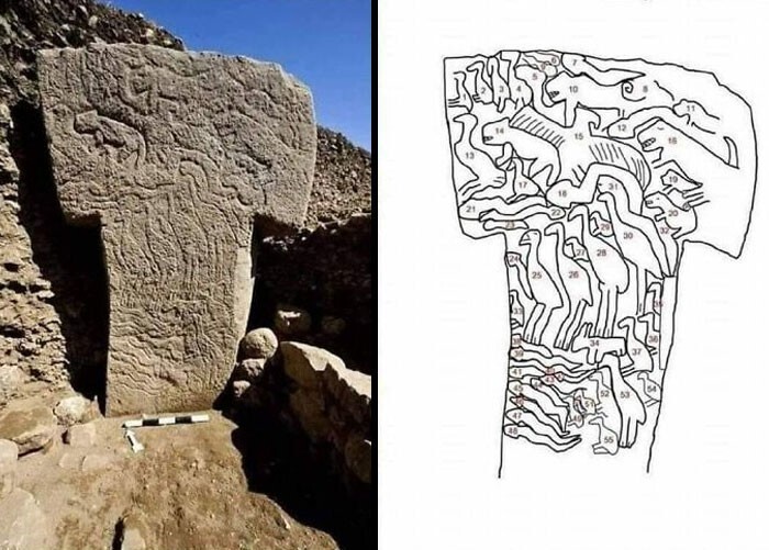 13. Детали одной из Т-образных колонн в Гёбекли-Тепе. Ее возраст составляет около 12 000 лет, что делает ее более древней, чем египетские пирамиды и Стоунхендж