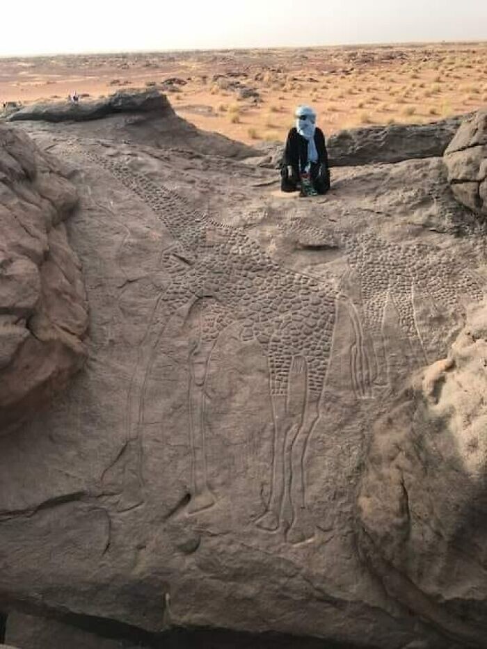 1. Наскальные изображения жирафов в пустыне Сахара, возраст — 10 000 лет