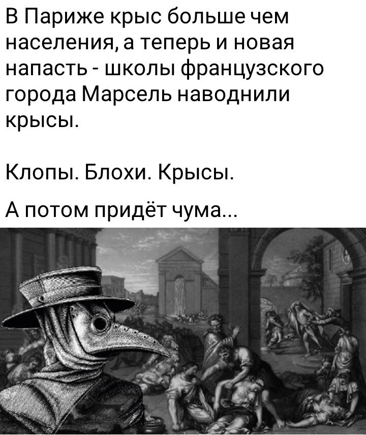 Политический мониторинг (203)