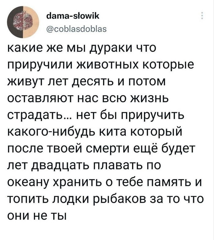 Не ищите здесь смысл. Здесь в основном маразм