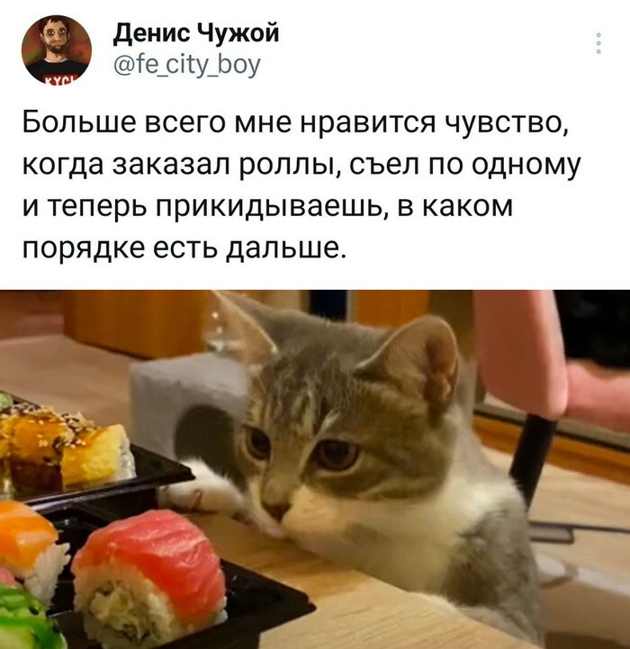 Не ищите здесь смысл. Здесь в основном маразм