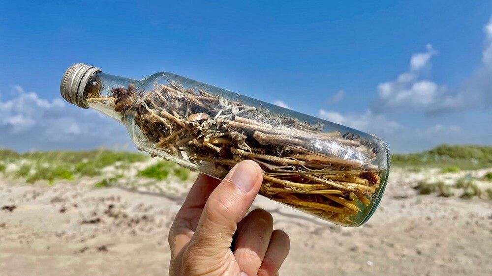 На южных пляжах США найдены "ведьмины бутылки"