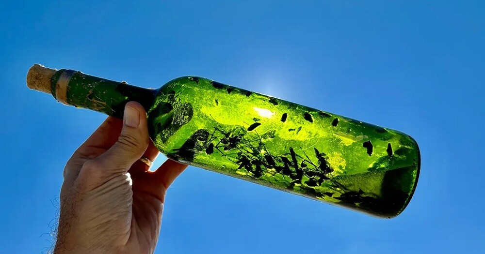 На южных пляжах США найдены "ведьмины бутылки"
