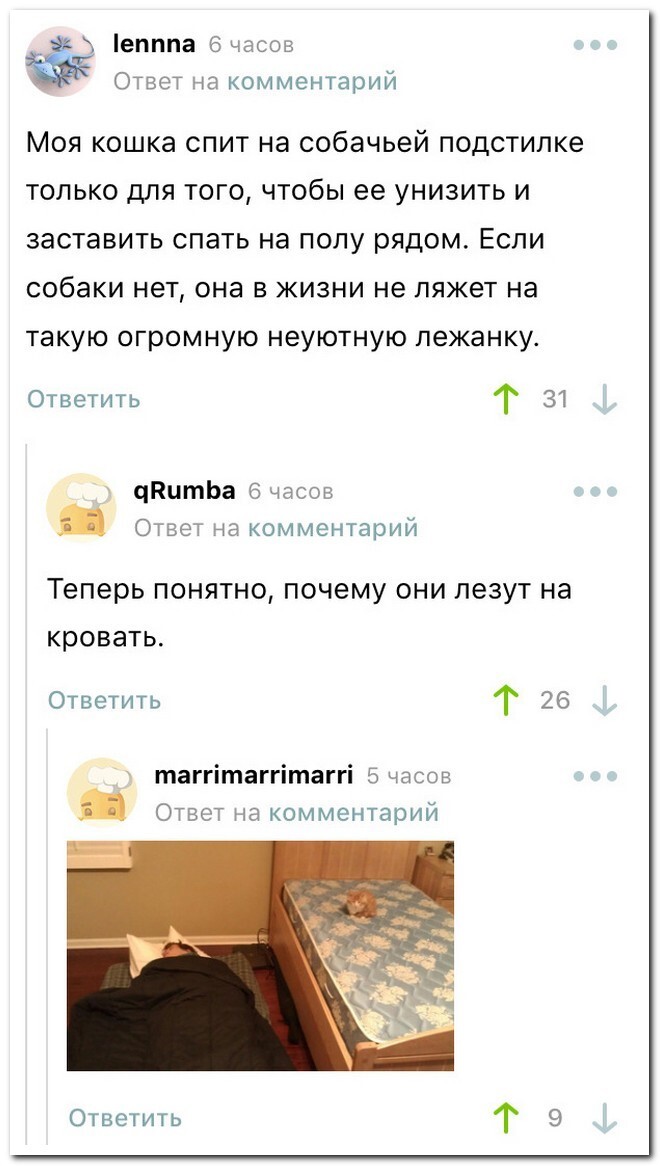 Скрины из соцсетей 