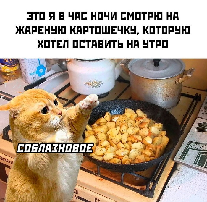 Скрины из соцсетей 