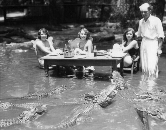 5. Пикник на ферме аллигаторов в Калифорнии, 1920-е. На ферме было 20 прудов для дрессированных аллигаторов, где гости могли спокойно с ними взаимодействовать