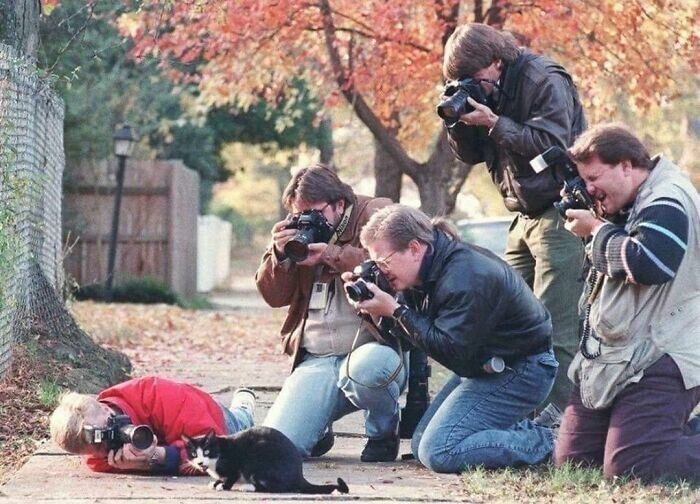 2. Папарацци фотографируют кота Билла Клинтона по кличке Сокс, 1992 год