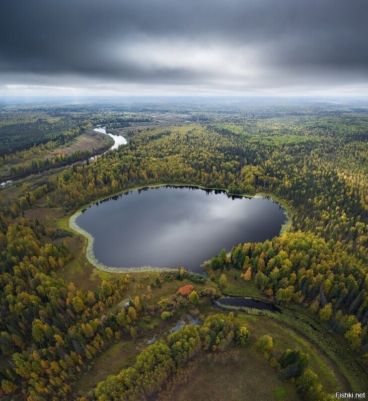 Солянка