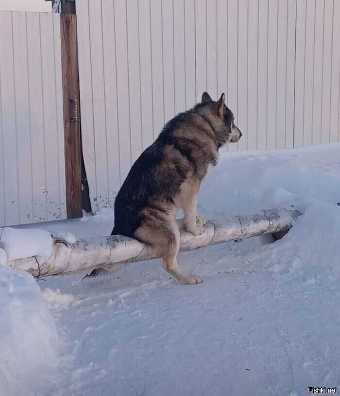 Якутск