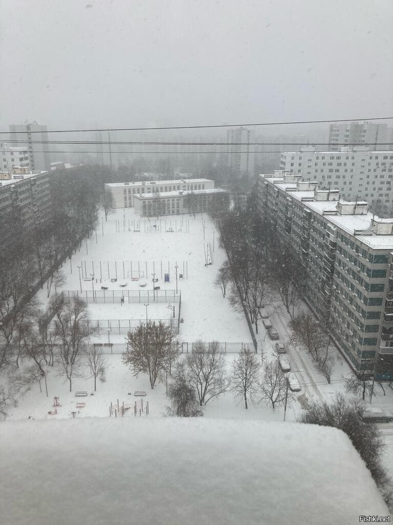 Москву снегом засыпает завтра будет попа на дороге