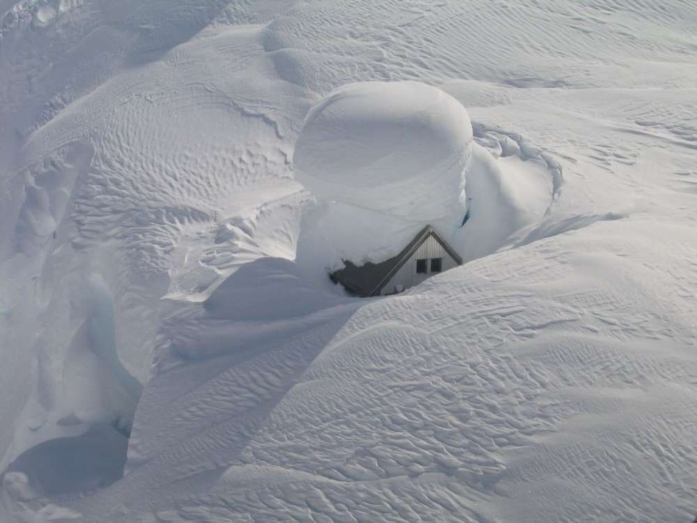 Критическая глубина снега: как этот параметр влияет на жизнь животных зимой
