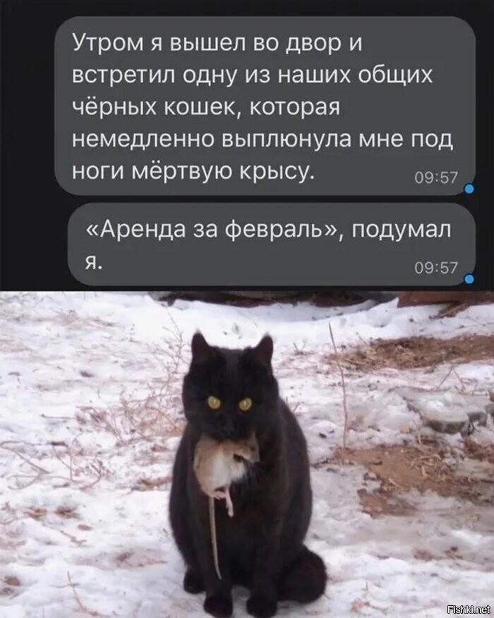 Солянка от 03.12.2023