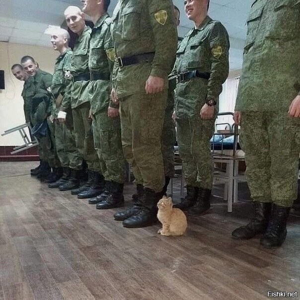 Солянка от 03.12.2023