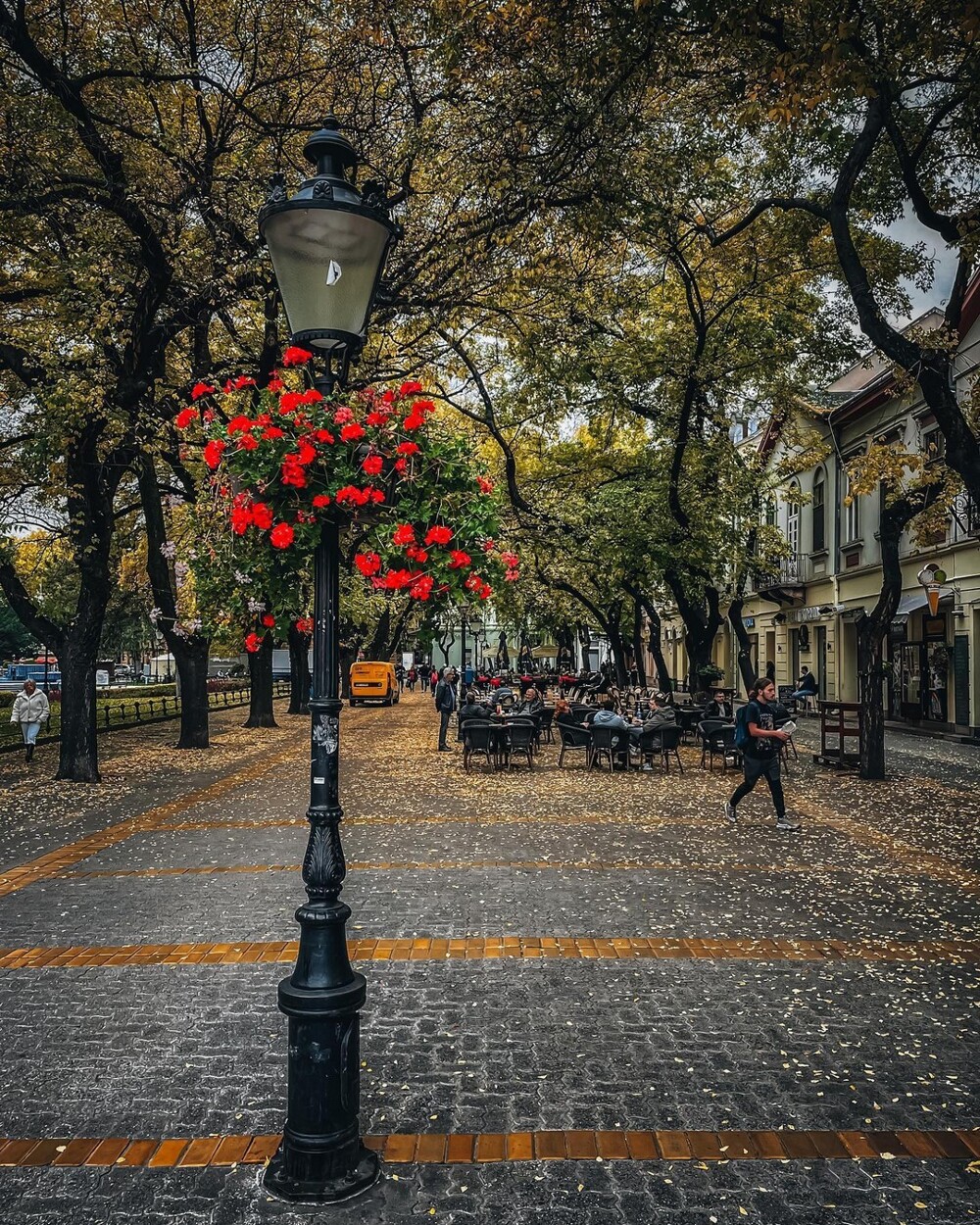 С добрым утром