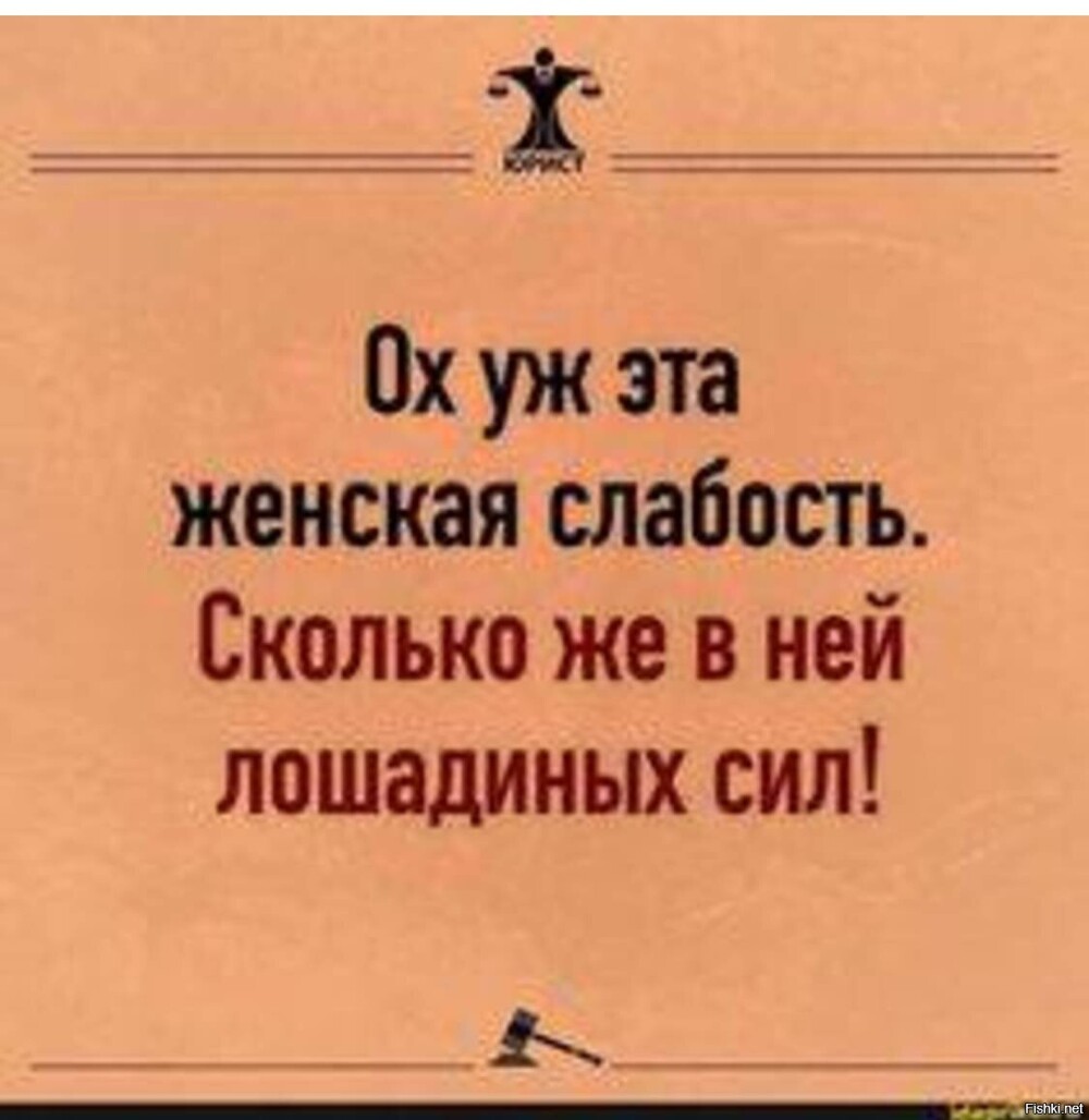 Солянка от 04.12.2023