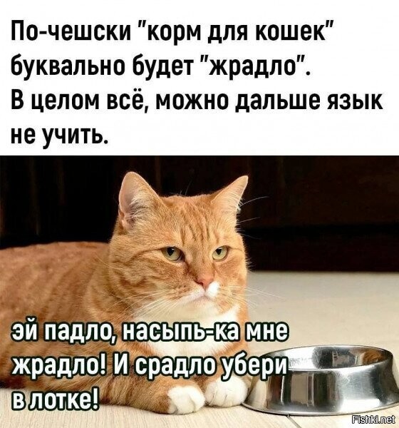 Солянка от 05.12.2023