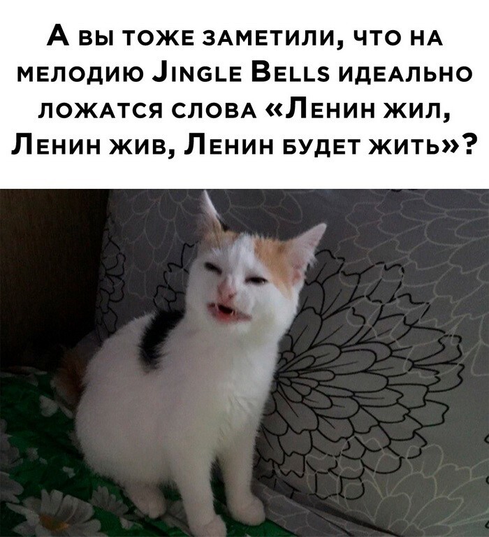 Скрины из соцсетей 