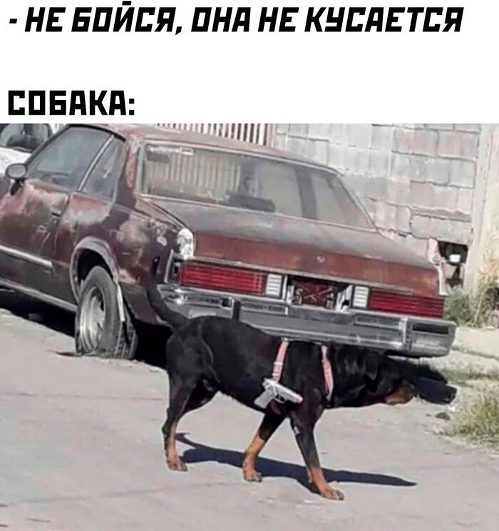 Скрины из соцсетей 