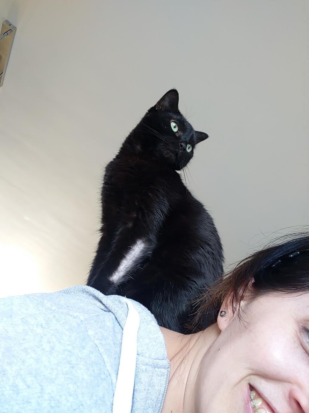 5. Она любит прыгать мне на плечо или спину, и наблюдать за тем, что я делаю
