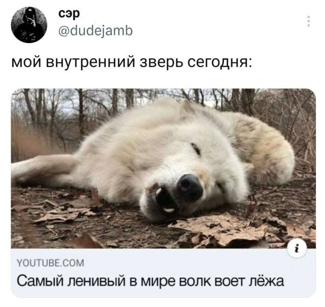 Скрины из соцсетей 