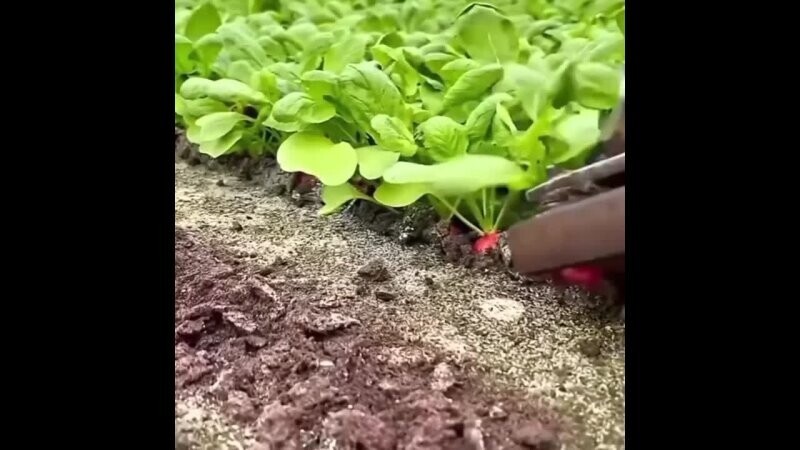 Залипательное 