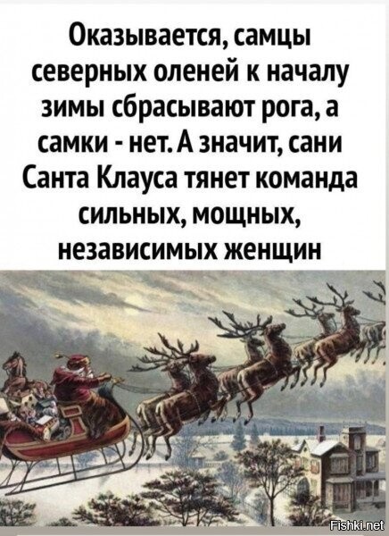 Солянка от 09.12.2023