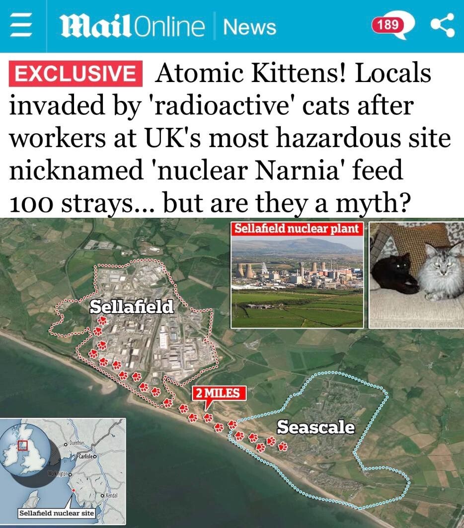 "Атомные кошки" терроризируют английские деревни
