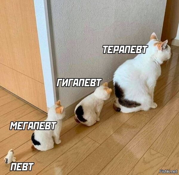Солянка от 11.12.2023