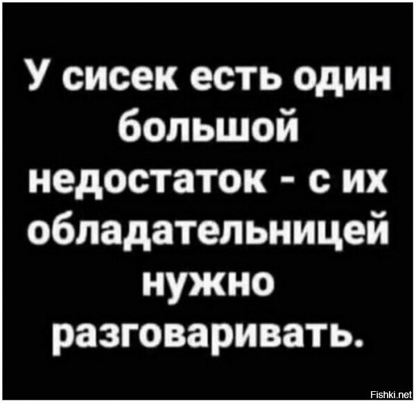 Солянка от 11.12.2023