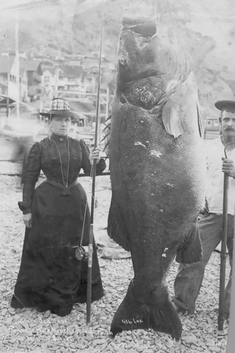 5. А. В. Баррет поймала чёрного морского окуня весом 189 кг. И снова остров Санта-Каталина, 1901 год