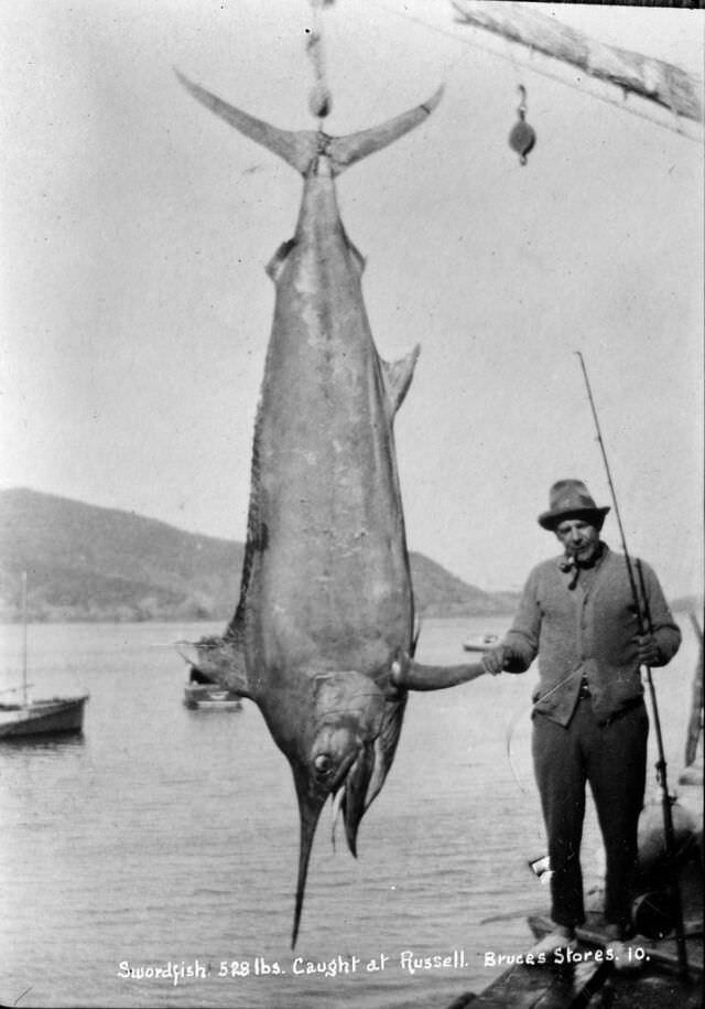 21. Меч-рыба весом 240 кг, Канада, 1910 год