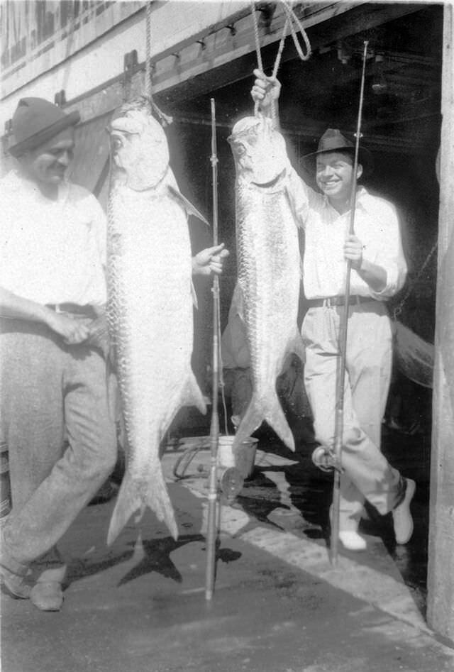 22. Писатели Эрнест Хемингуэй и Джон Дос Пассос с рыбами-тарпонами, Ки-Уэст, Флорида, 1928 год