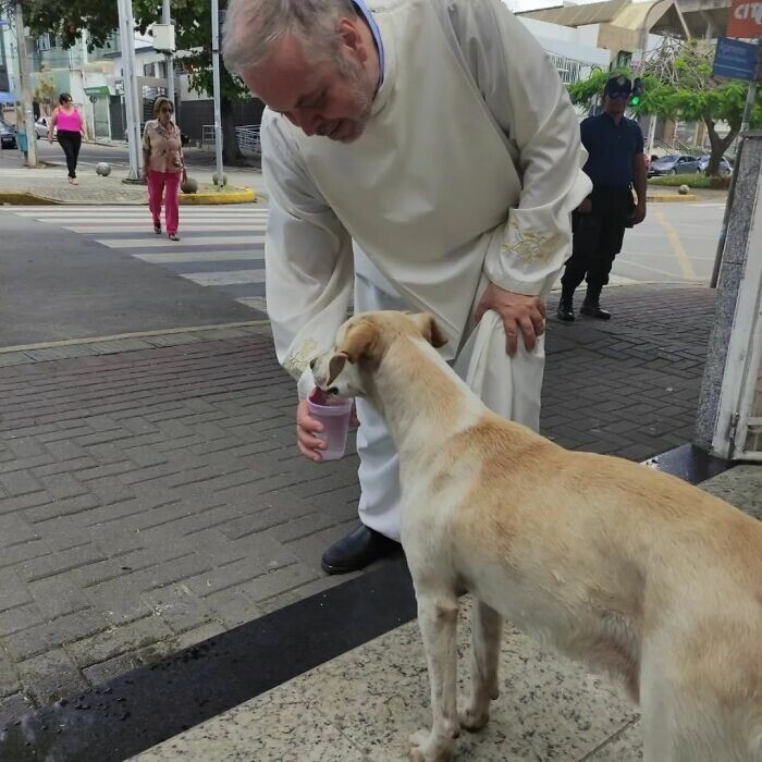 Священник из Бразилии спасает бездомных собак