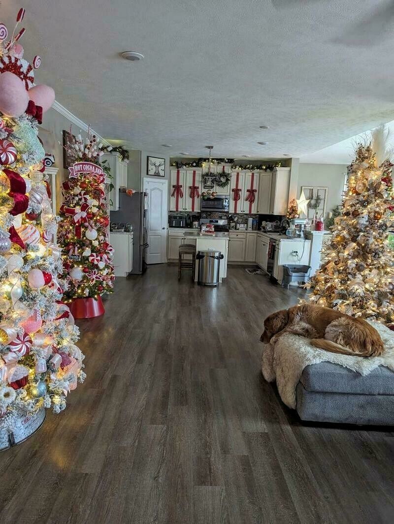 Американка каждый год устанавливает в доме 26 рождественских елок, и они великолепны!