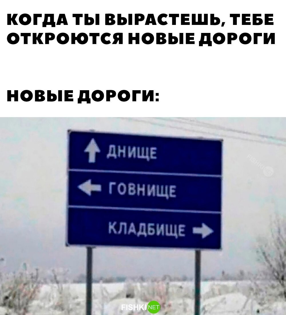 Какую выберешь ты?