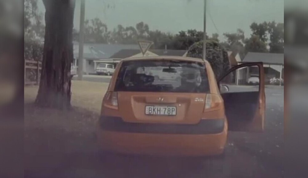 В Австралии водитель обманул смерть: молния ударила в дерево вблизи его машины