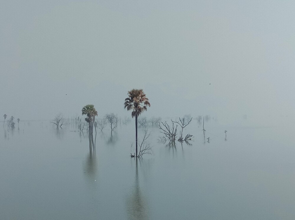 Пейзажные фотографии, получившие награду Sony World Photography Awards 2023