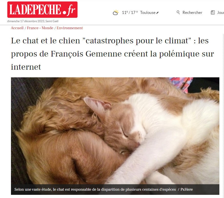 “Кошка - это катастрофа для биоразнообразия, собака - это катастрофа для климата”: во Франции задумались о домашних животных