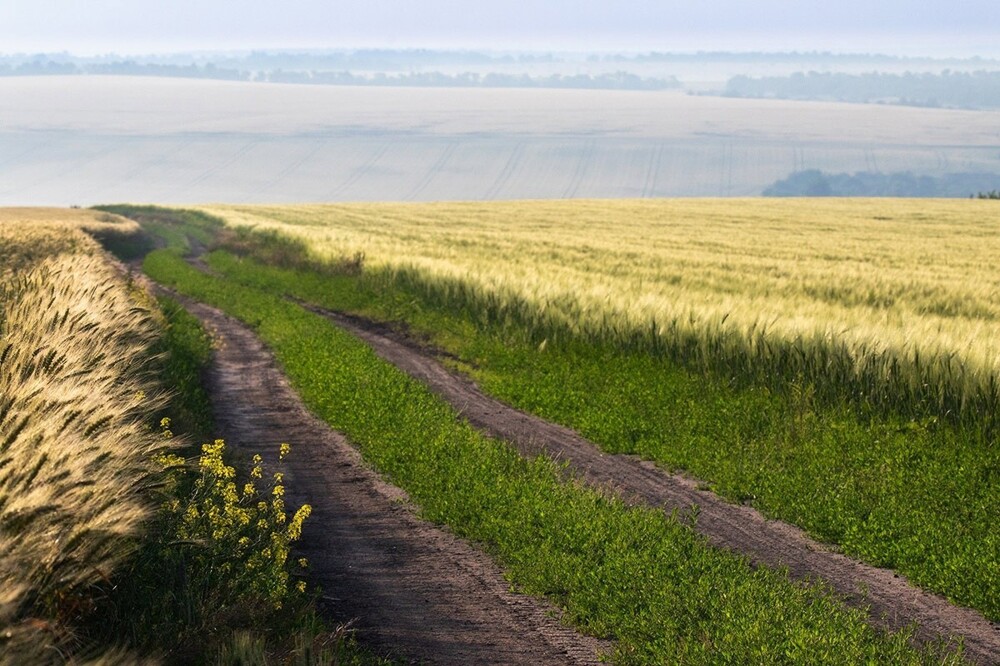 Пейзажи Ростовской области. Часть 1