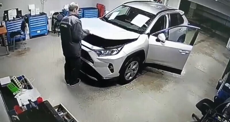 Сотрудник автосервиса нашёл кота под капотом автомобиля