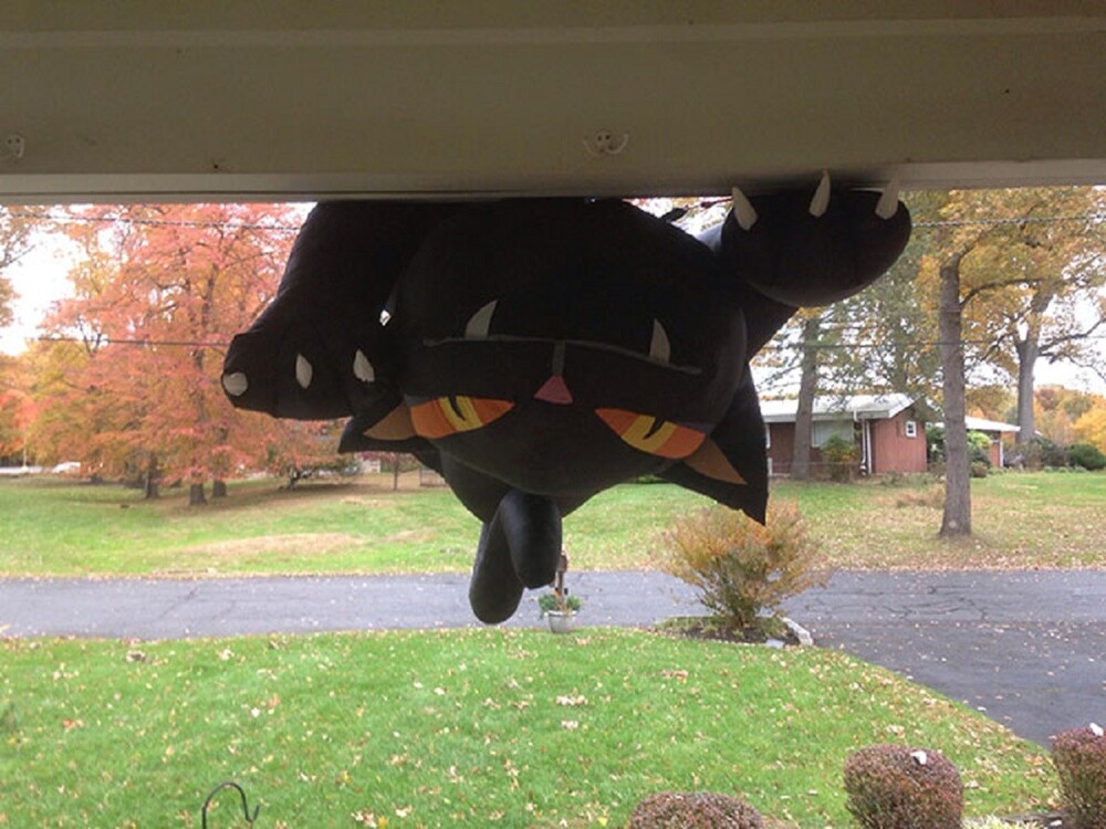 10. "Установил на крыше надувного кота на время Хэллоуина. Прошлой ночью было очень ветрено. Вот что встретило меня утром, когда я открыл дверь"