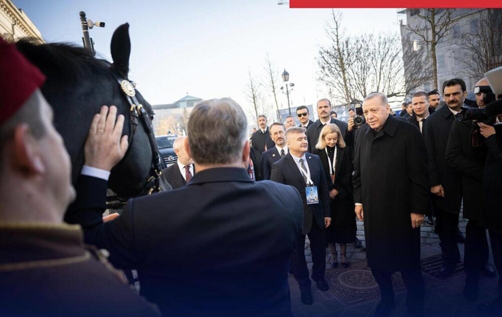 Ход конём: Эрдоган подарил Орбану электрокар, а в ответ получил жеребца по кличке Аристократ