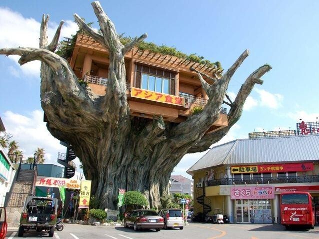 11. Этот ресторан называется "Дом на дереве" и находится на Окинаве, Япония