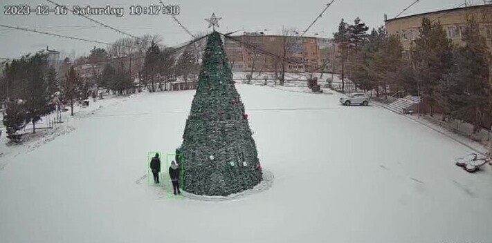 Школьники в Приморье "разграбили" новогодние украшения с главной елки села