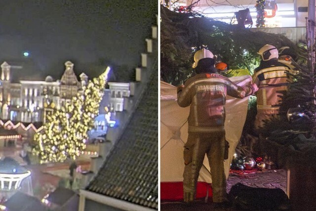 На новогодней ярмарке в Бельгии на людей рухнула 20-метровая елка