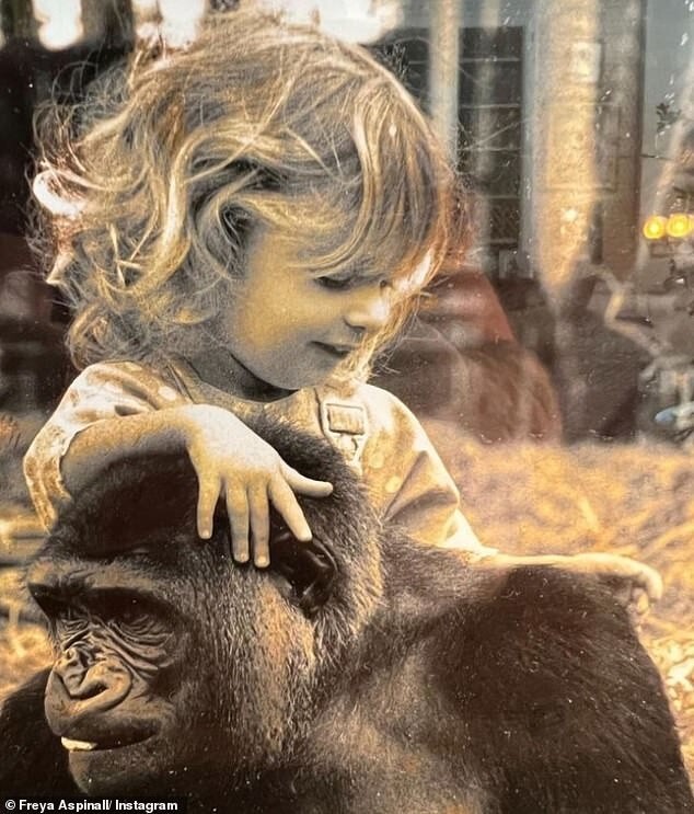 Ближе к природе: девушка кормит горилл, которых знает с младенчества